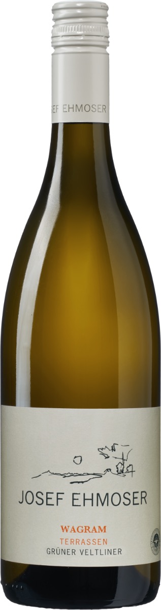witte wijn Weingut Josef Ehmoser 'Gruner Veltliner - Terrassen
