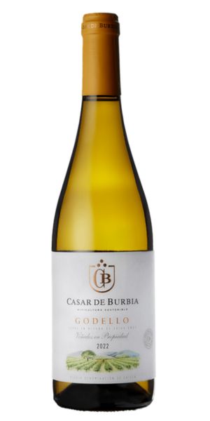 witte wijn Casar de Burbia 'Valdepiñeiro