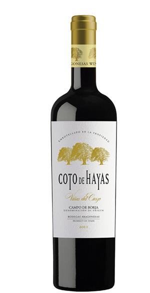 rode wijn Bodegas Aragonesas 'Coto de Hayas Reserva Vinas del Cierzo