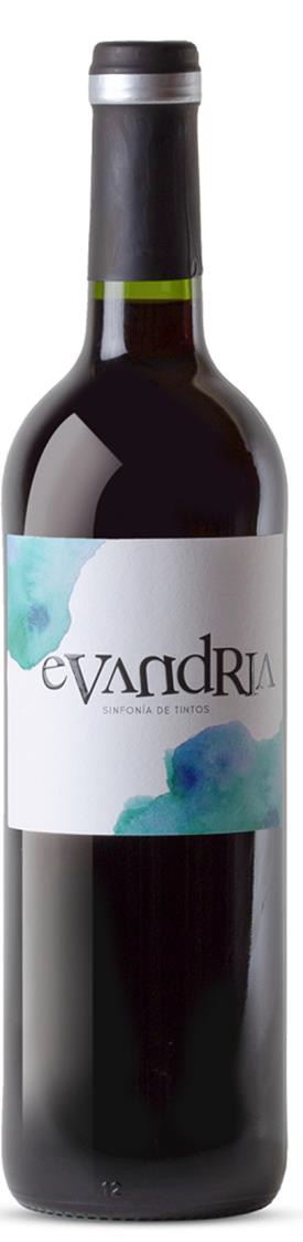 rode wijn Coloma 'Evandria Sinfonia de Tintos
